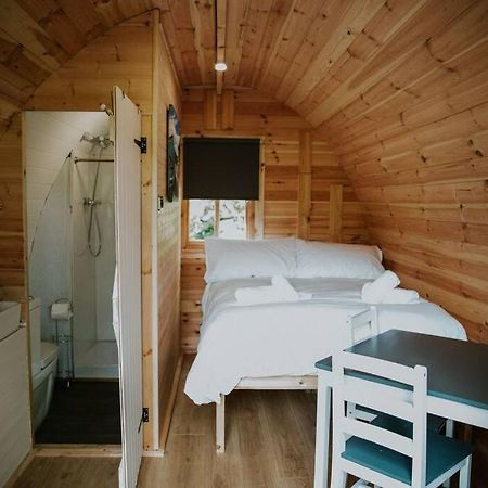 Ash Winter Retreat- Hot Tub & Log Bruner Barmouth Exterior photo