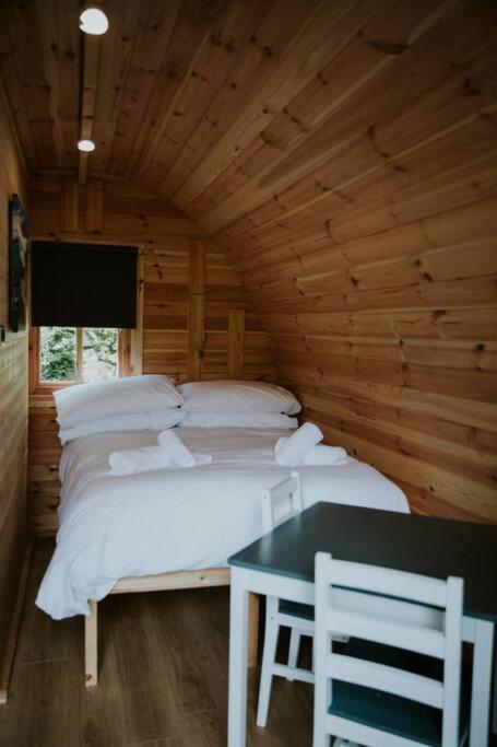 Ash Winter Retreat- Hot Tub & Log Bruner Barmouth Exterior photo